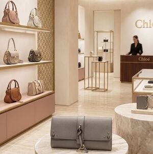 Chloe Gray Leather Wallet